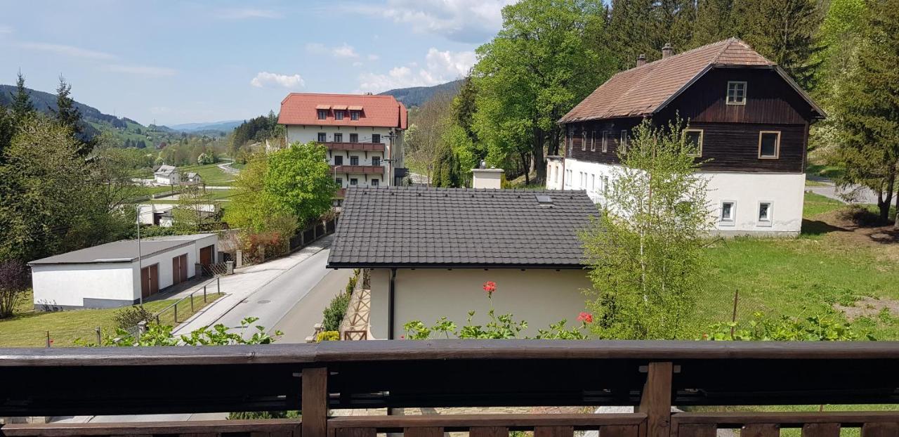 Haus Elena Am Semmering Steinhaus am Semmering المظهر الخارجي الصورة
