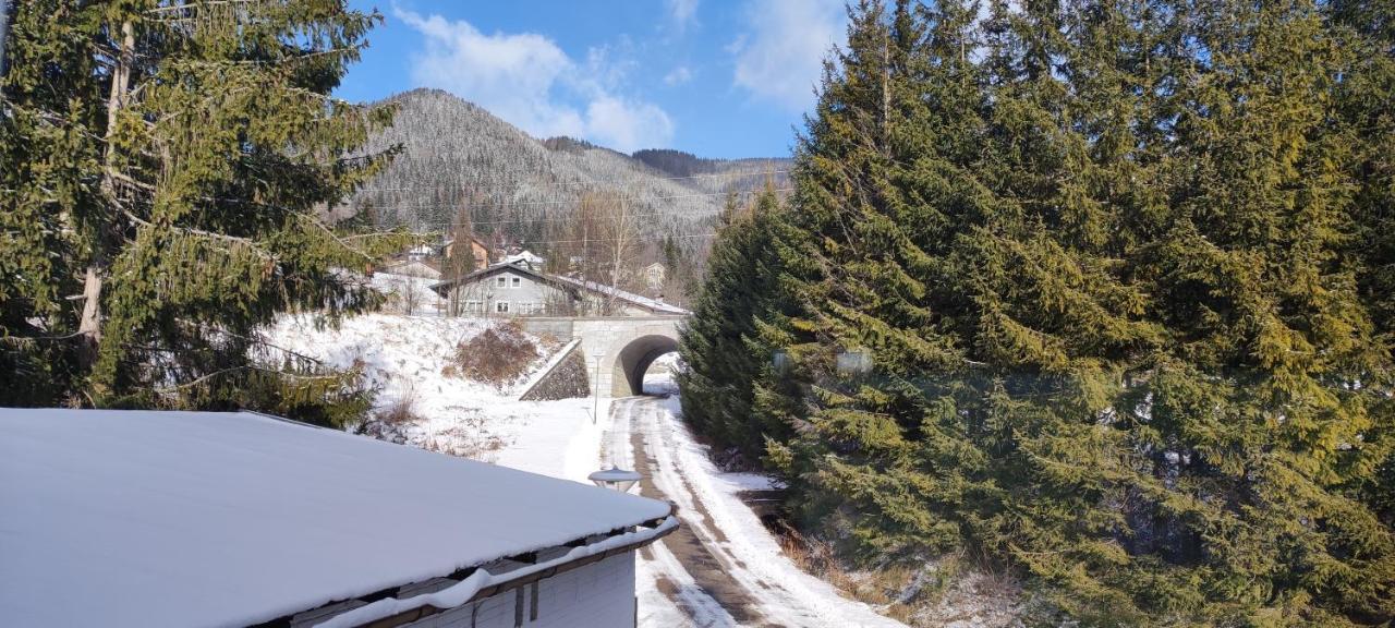 Haus Elena Am Semmering Steinhaus am Semmering المظهر الخارجي الصورة