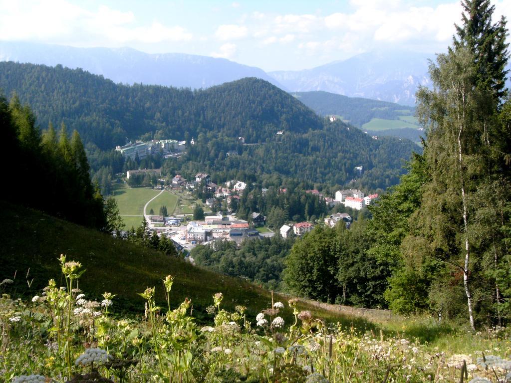 Haus Elena Am Semmering Steinhaus am Semmering المظهر الخارجي الصورة