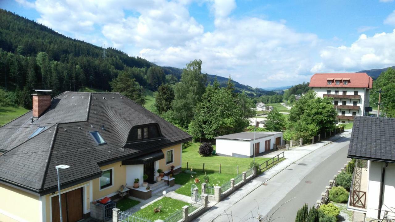 Haus Elena Am Semmering Steinhaus am Semmering المظهر الخارجي الصورة