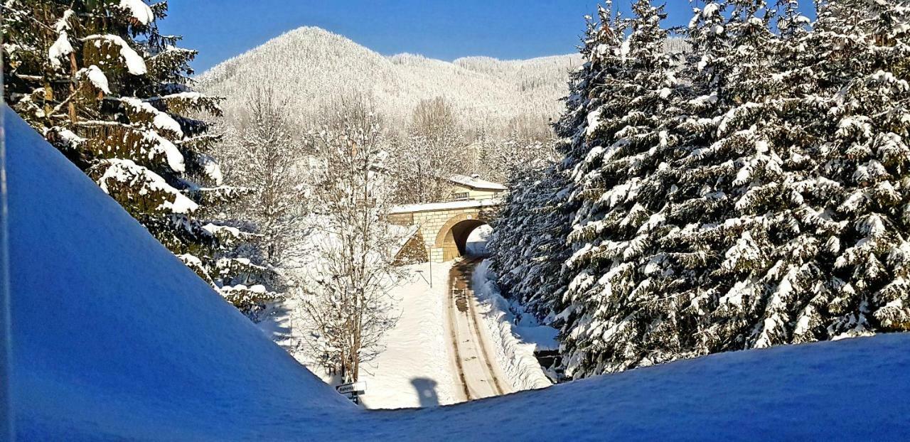 Haus Elena Am Semmering Steinhaus am Semmering المظهر الخارجي الصورة